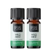 2x Bio Åkermynta Eterisk olja - 10ml