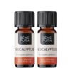2x Bio Eucalyptus Globulus Eterisk olja - 10ml
