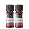 2x Bio Eucalyptus Radiata Eterisk olja - 10ml