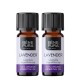 2x Bio Lavendel Eterisk olja - 10ml