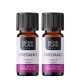 2x Bio Oregano Eterisk olja - 10ml