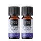 2x Bio Rosmarin Kamfer Eterisk olja - 5ml