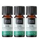 3x Bio Basilika Eterisk olja - 5ml