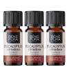 3x Bio Eucalyptus Citriodora Eterisk olja - 10ml