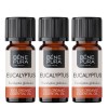 3x Bio Eucalyptus Globulus Eterisk olja - 10ml