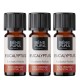 3x Bio Eucalyptus Radiata Eterisk olja - 5ml
