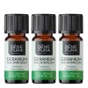 3x Bio Geranium Eterisk olja - 10ml