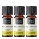 3x Bio Helichrysum Eterisk olja - 5ml
