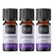 3x Bio Lavendel Eterisk olja - 10ml