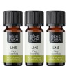 3x Bio Lime Eterisk olja - 10ml