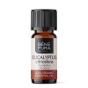  Bio Eucalyptus Citriodora Eterisk olja - 10ml