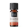 Bio Eucalyptus Globulus Eterisk olja - 10ml