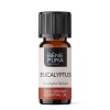 Bio Eucalyptus Radiata Eterisk olja - 10ml