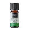 Bio Geranium Eterisk olja - 10ml