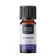 Bio Isop Eterisk olja - 5ml