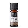 Bio Muskot Eterisk olja - 10ml