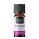 Bio Oregano Eterisk olja - 10ml