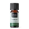 Bio Rölleka Eterisk olja - 10ml