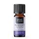 Bio Rosmarin Kamfer Eterisk olja - 5ml