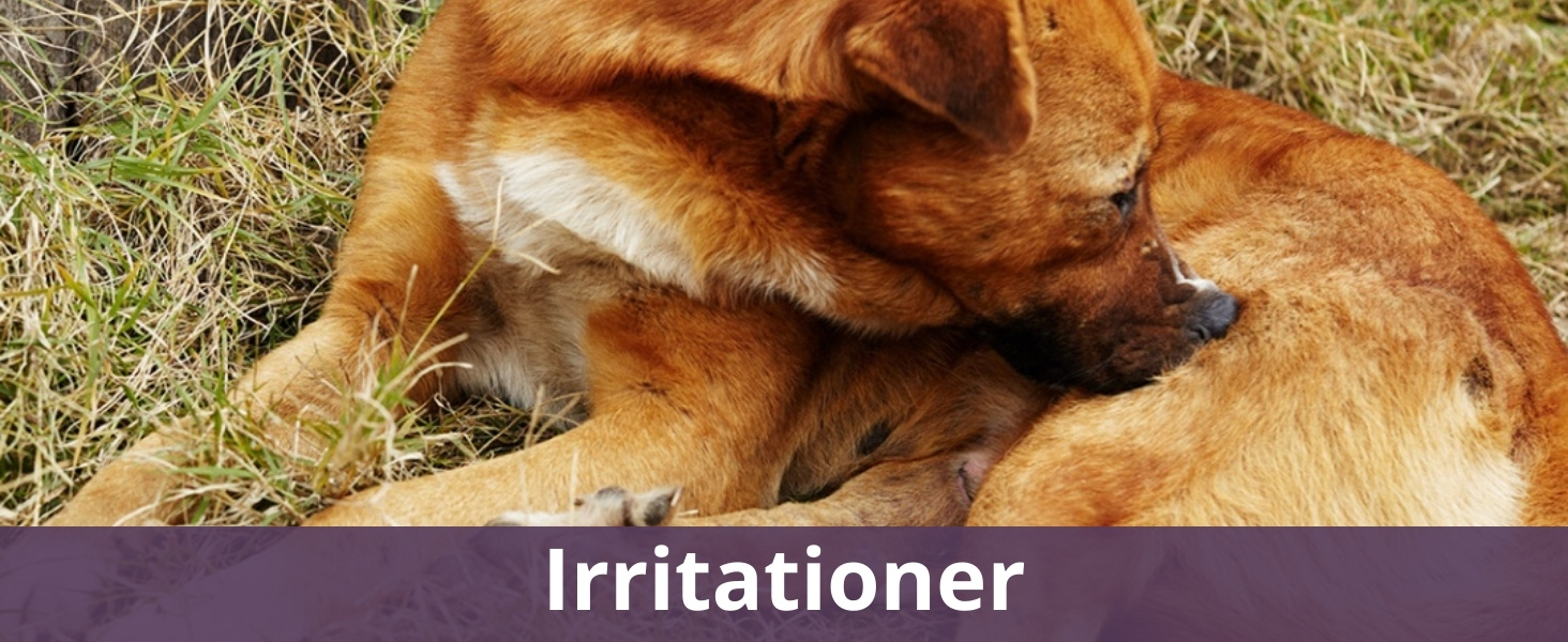 Irritationer