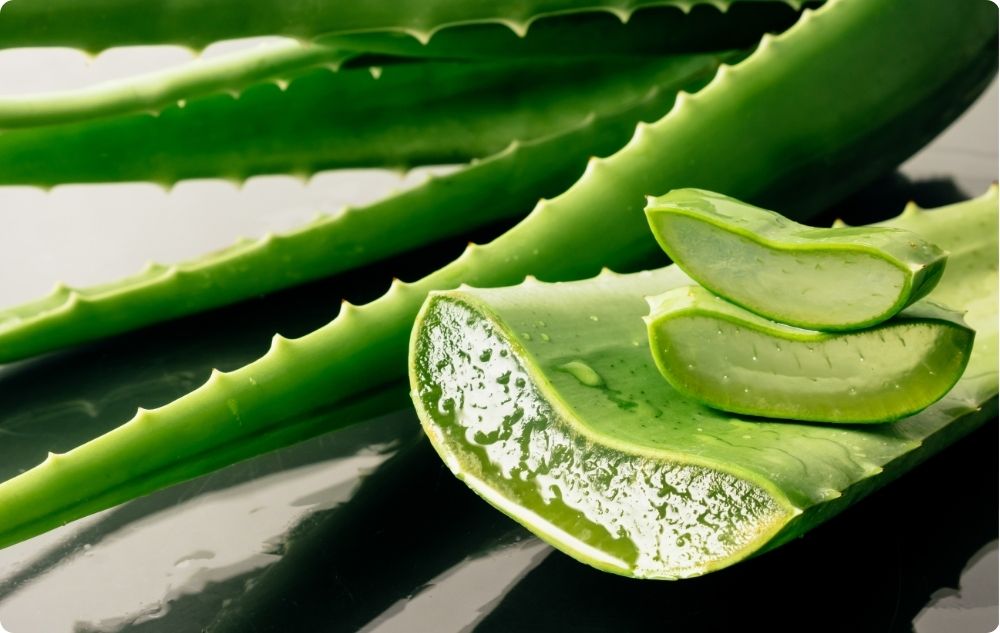 Gel från aloe vera