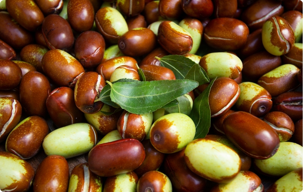 Vad hjälper Jojoba Basolja mot?
