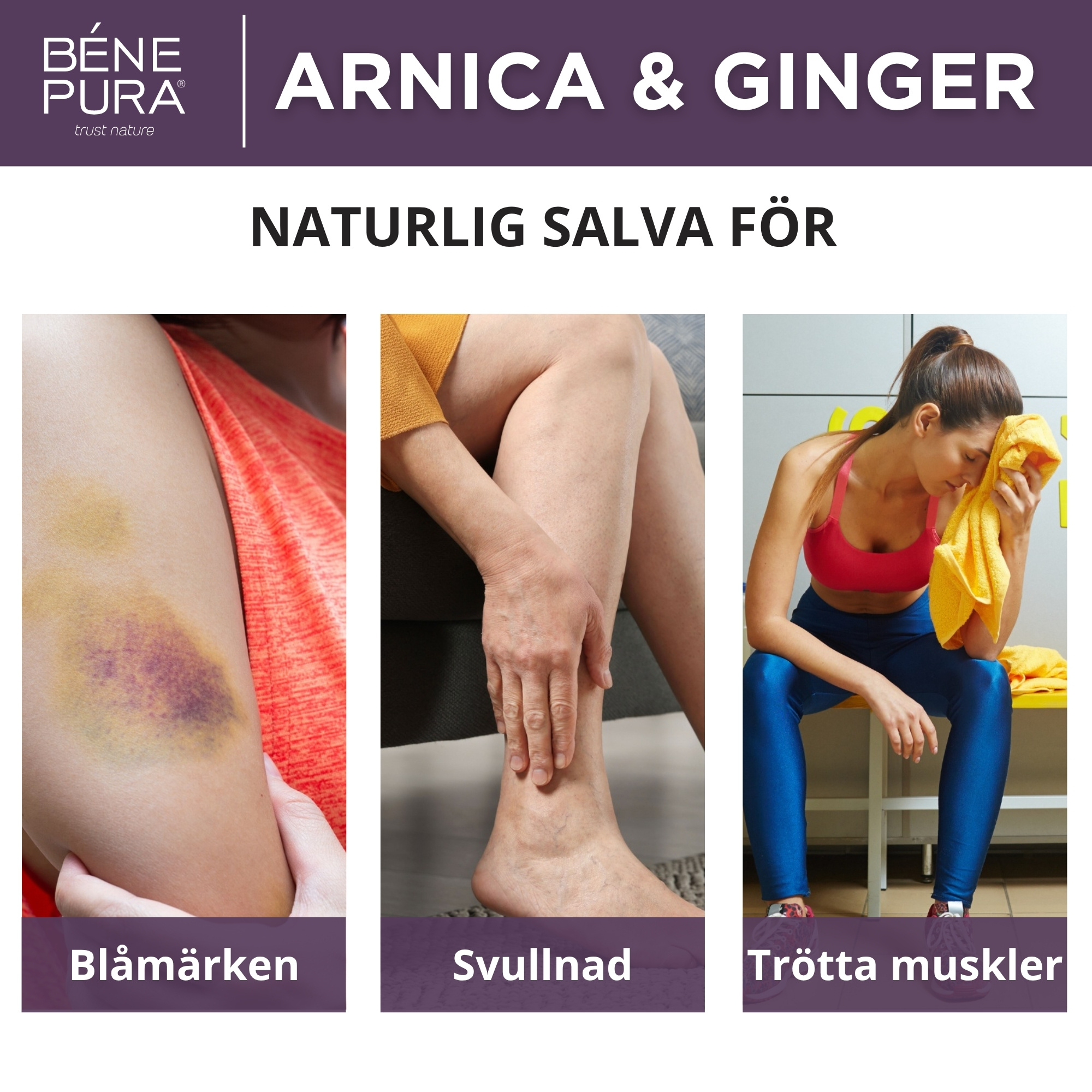 3x Blåmärkessalva med Arnika och Ingefära - 40ml