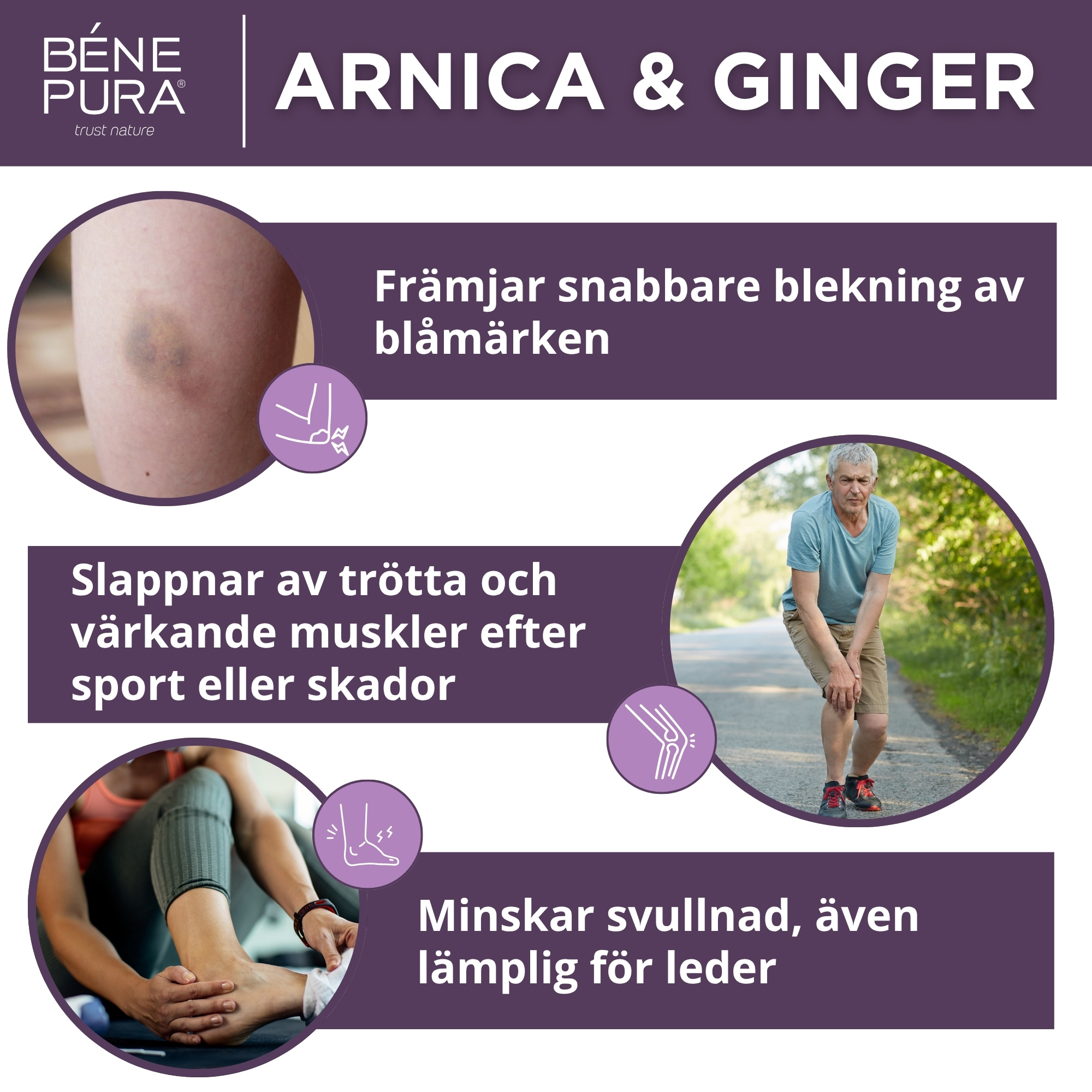 3x Blåmärkessalva med Arnika och Ingefära - 40ml