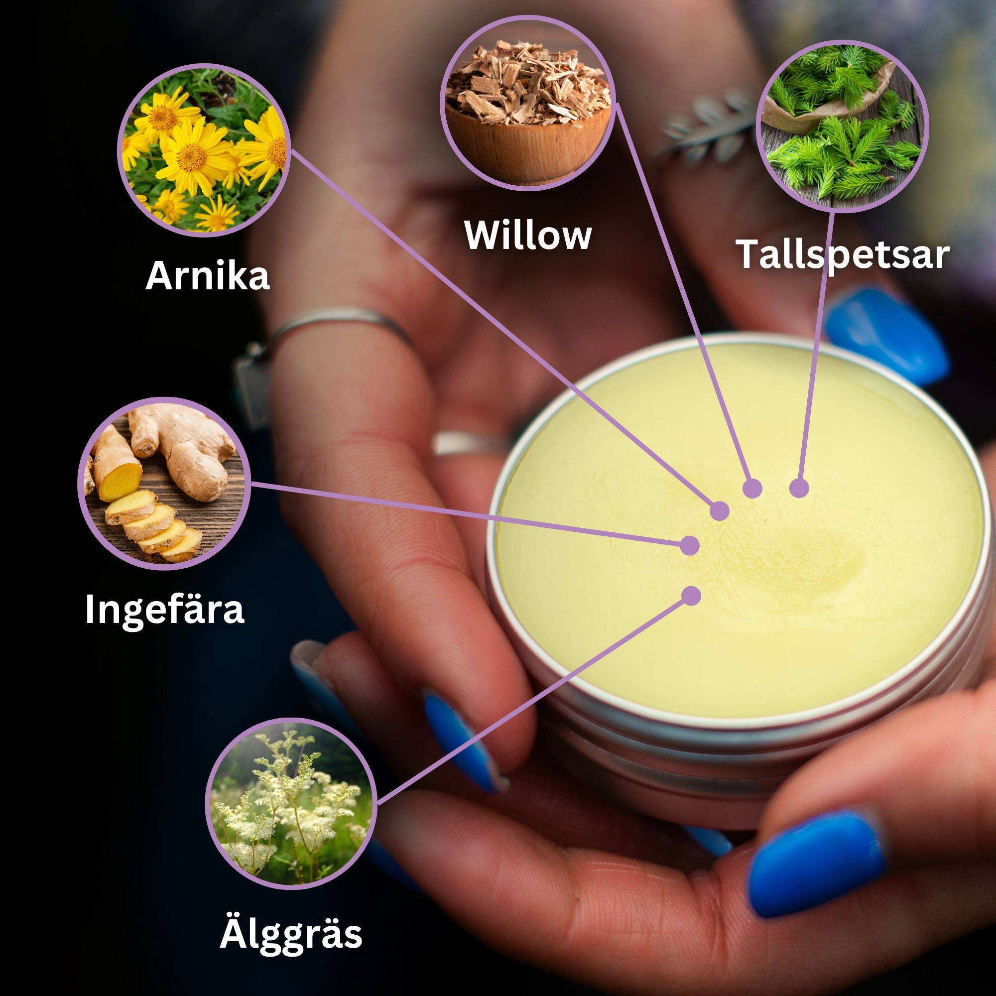 3x Blåmärkessalva med Arnika och Ingefära - 40ml