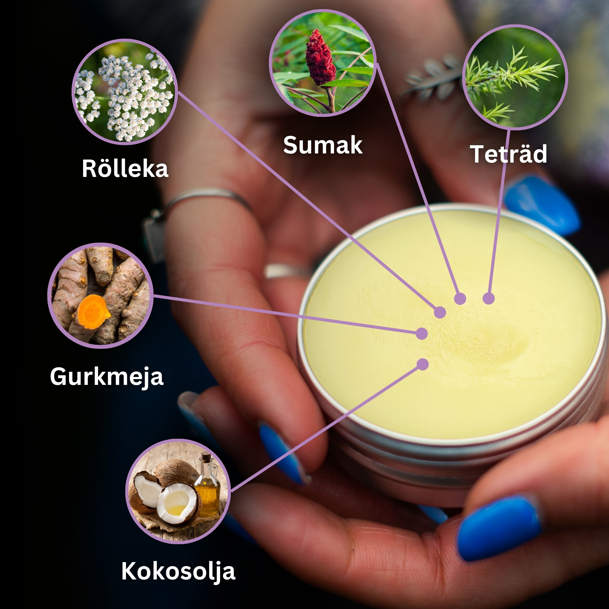 3x Hemorrojdsalva med Vit Rölleka, Sumak och Gurkmeja - 40ml