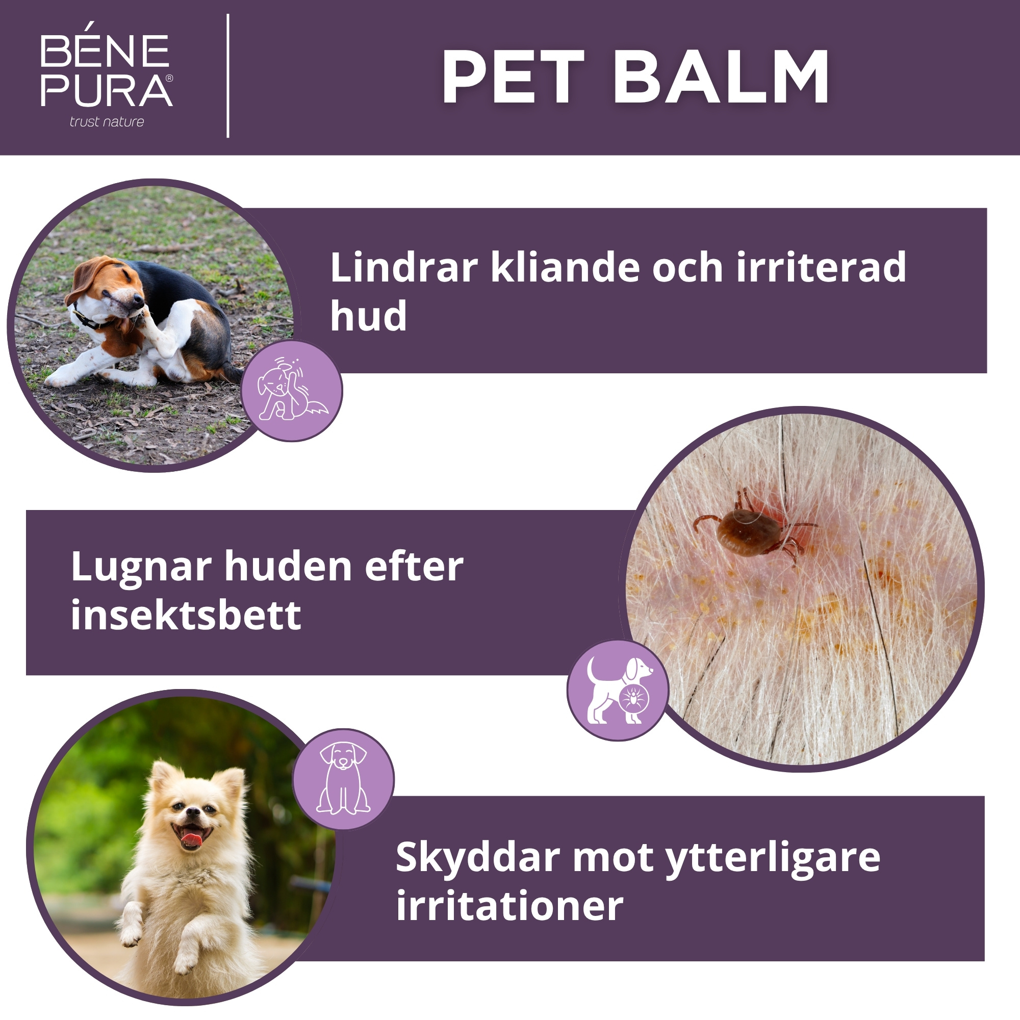 Salvor för hundar Set