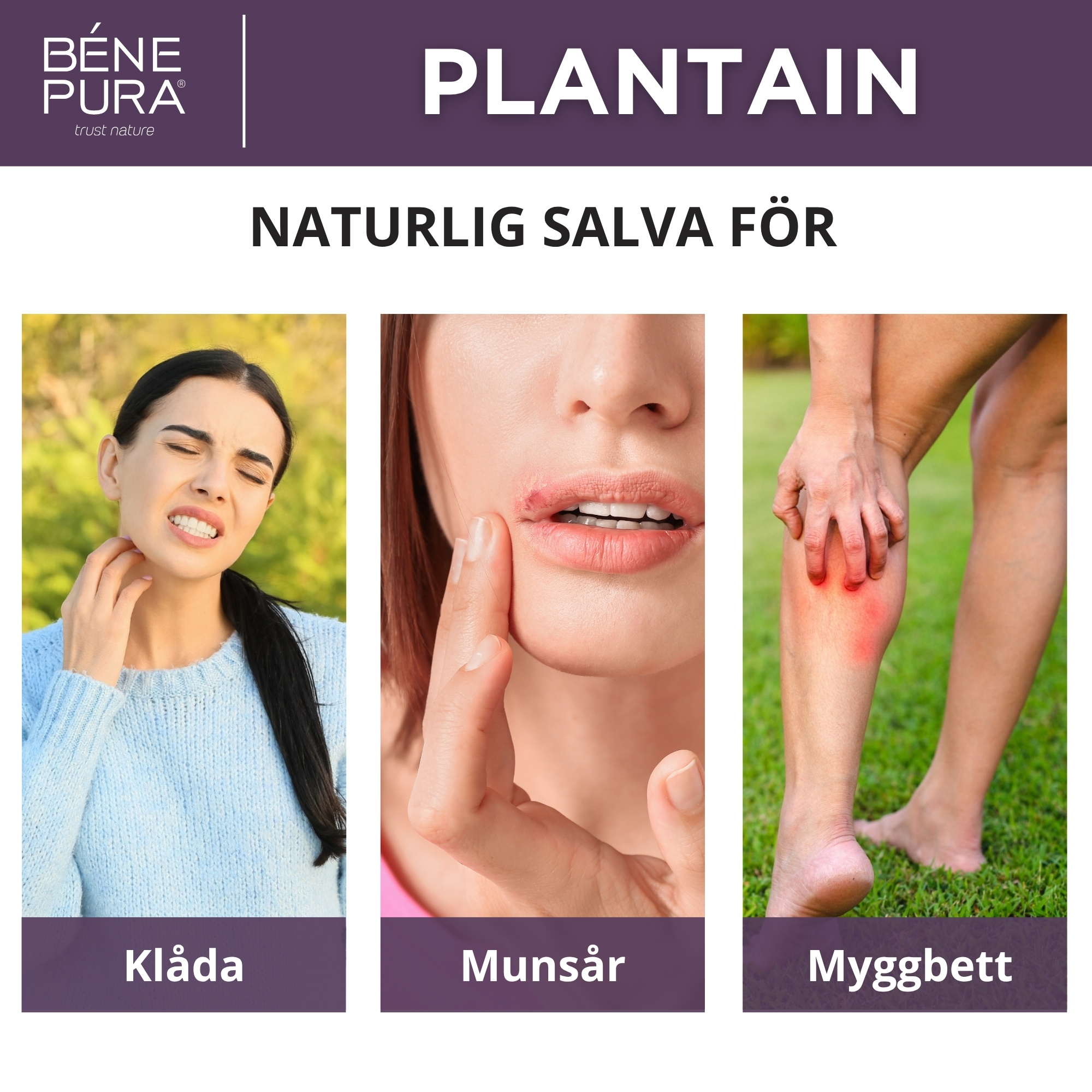 Salvor mot klåda Set