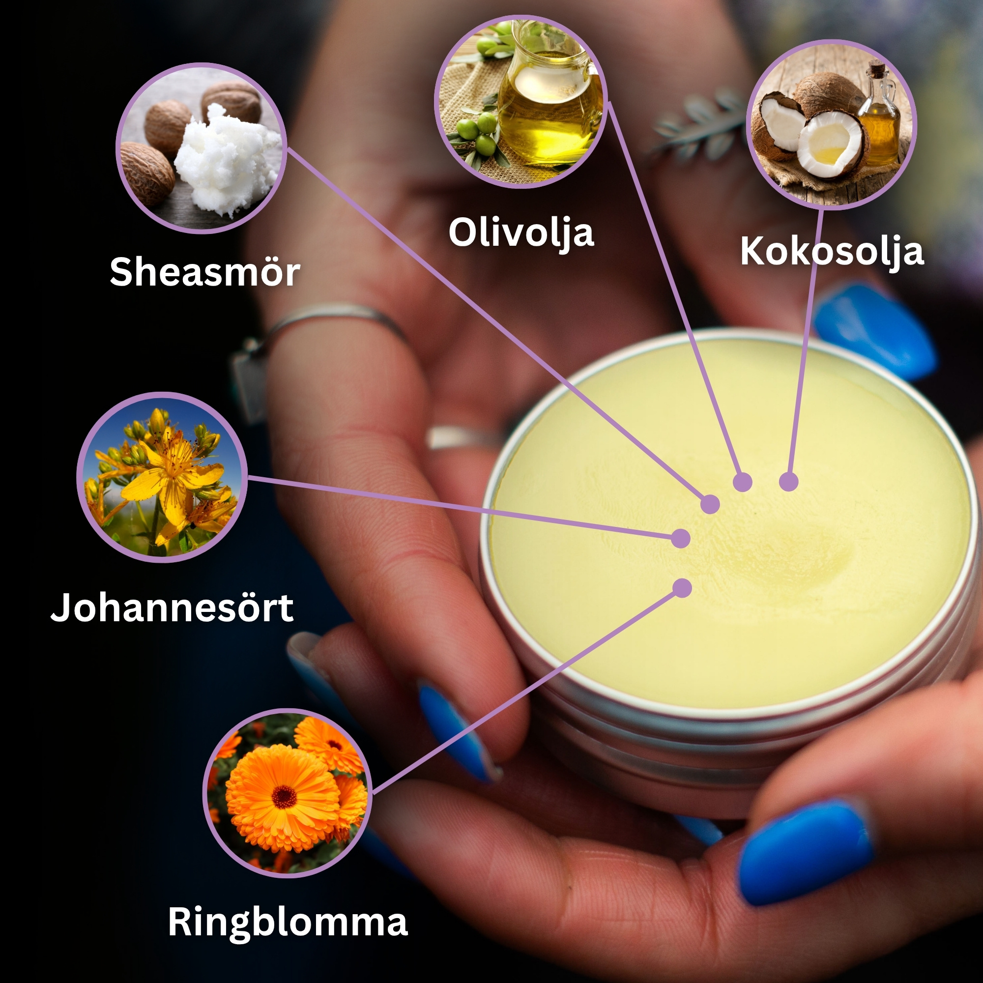 Salvor för hundar Set