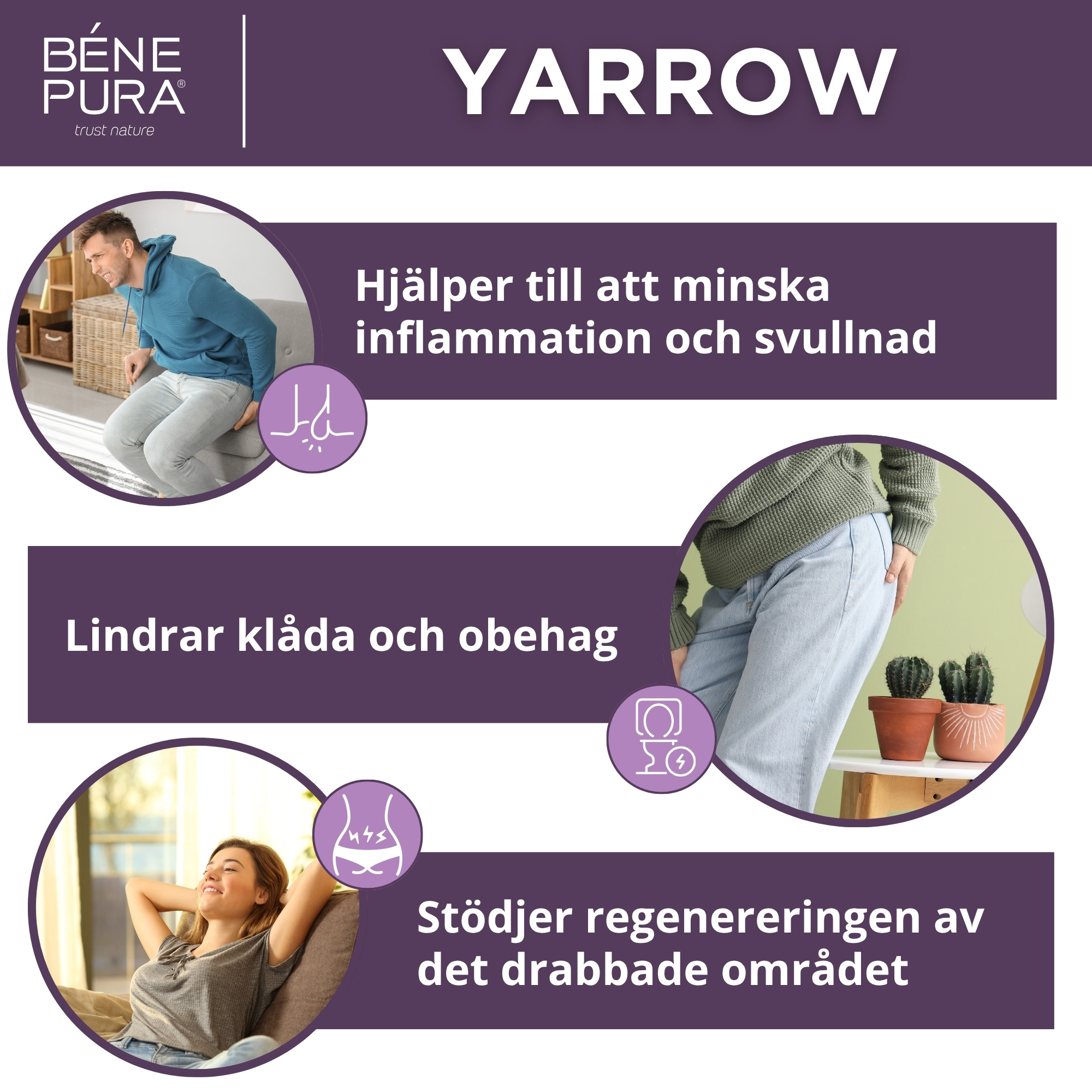 Salvor för hemorrojder Set
