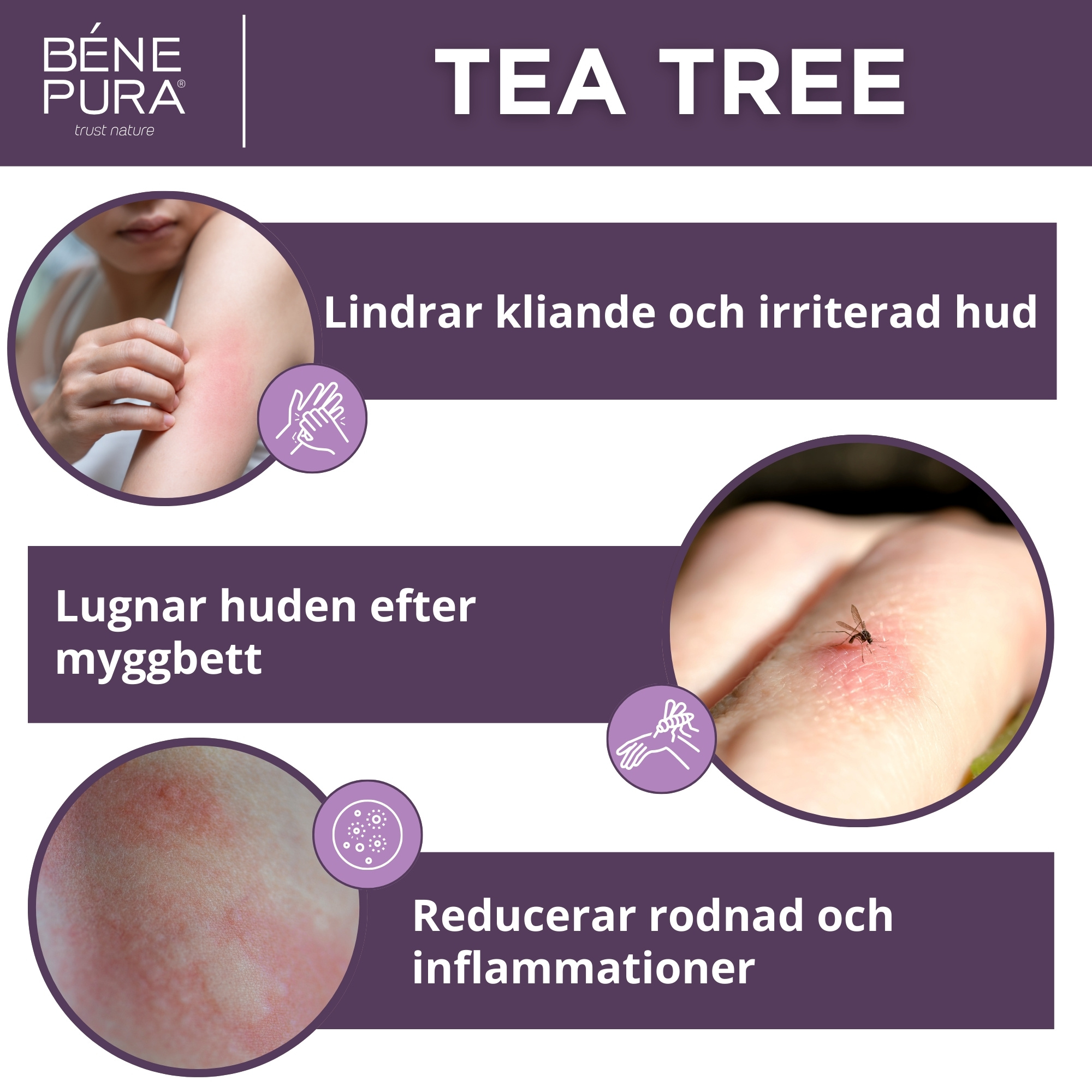 Klådsalva med Teträd - 40ml