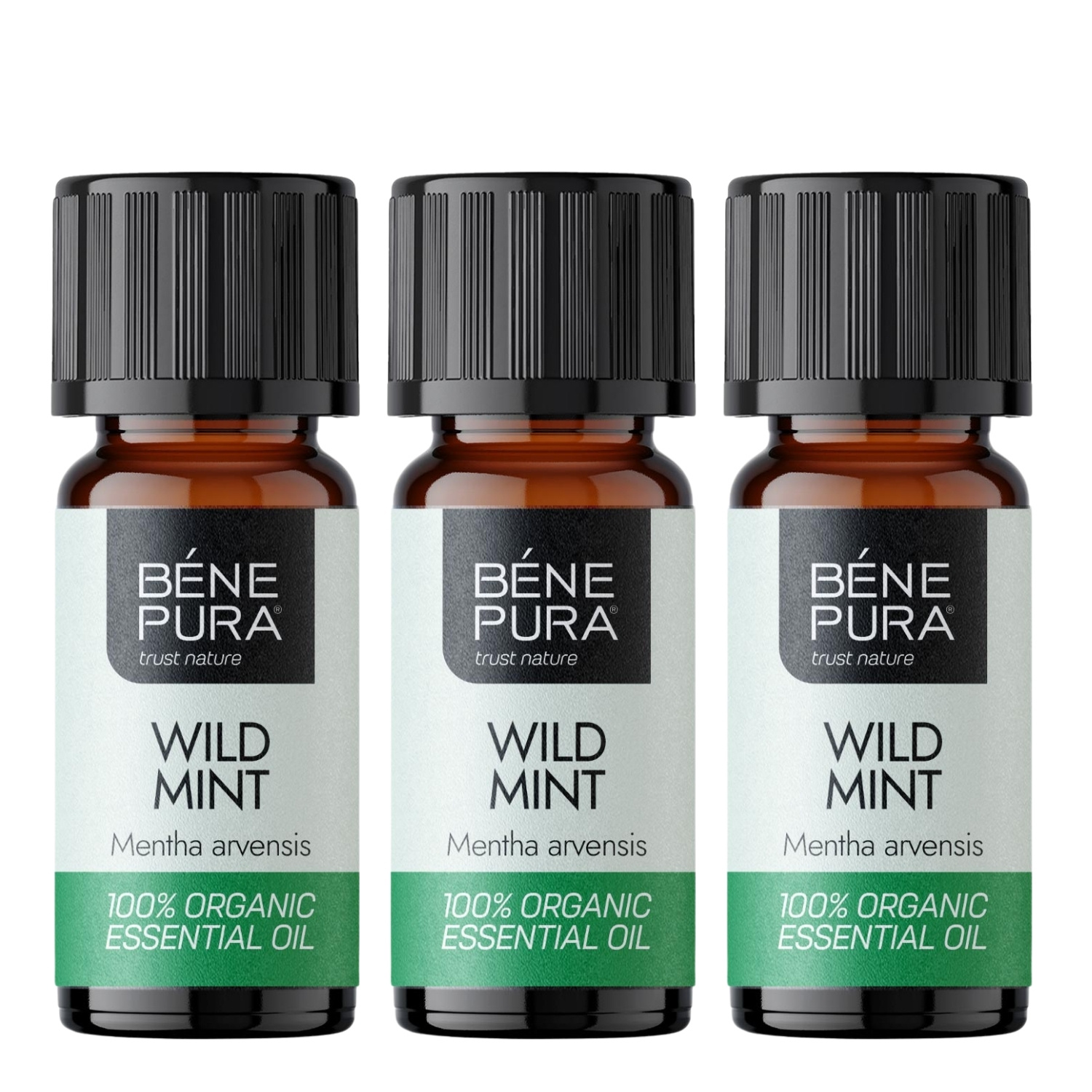 3x Bio Åkermynta Eterisk olja - 10ml - Benepura.se 3x Bio Åkermynta Eterisk olja - 10ml