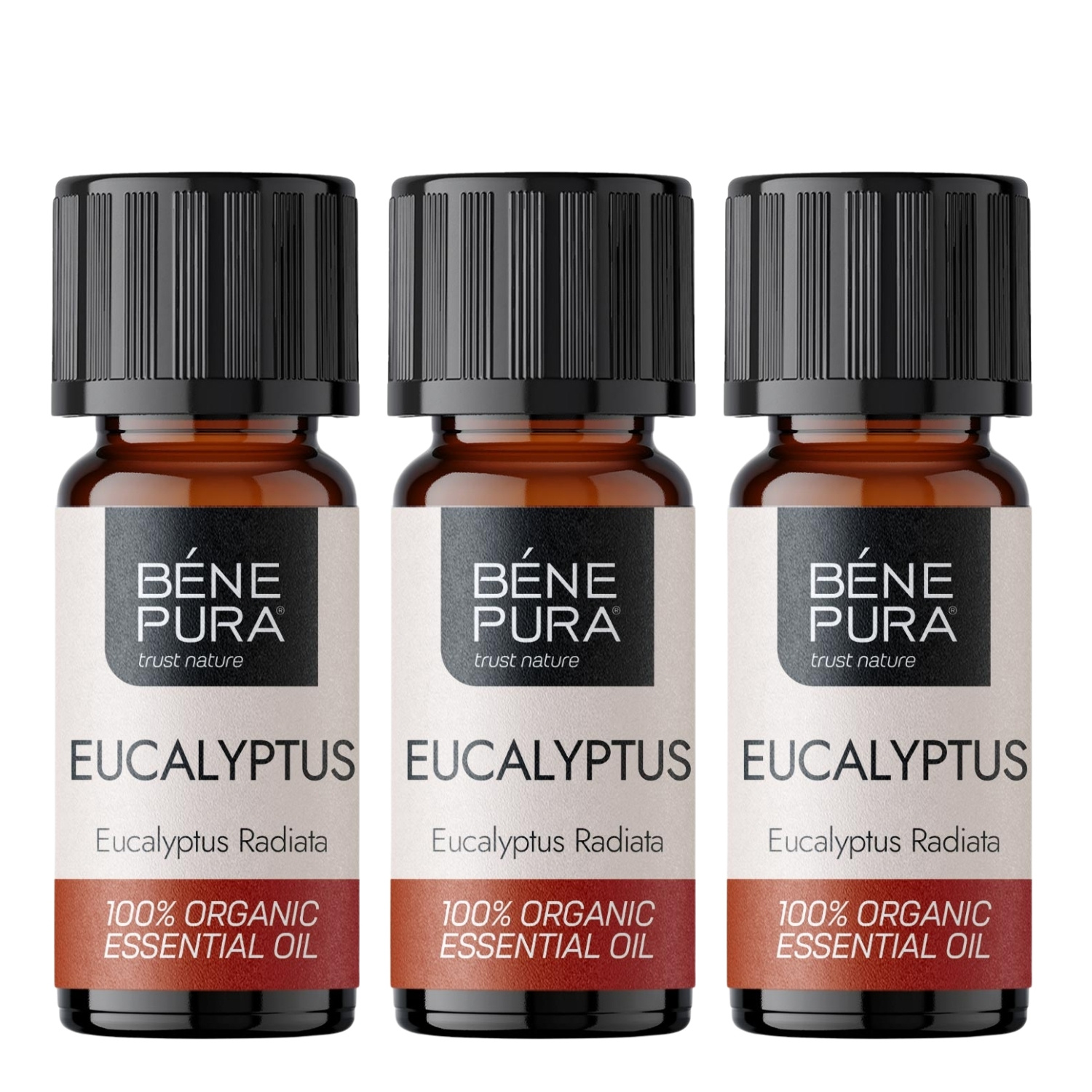 3x Bio Eucalyptus Radiata Eterisk olja - 10ml - Benepura.se 3x Bio Eucalyptus Radiata Eterisk olja - 10ml