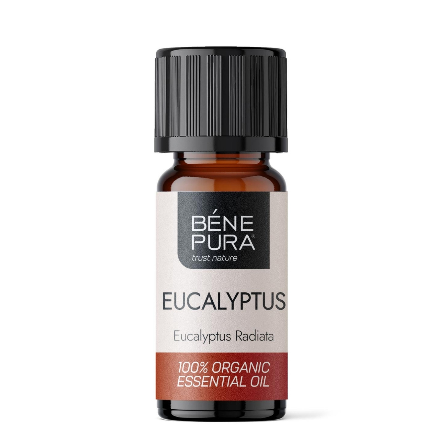 Bio Eucalyptus Radiata Eterisk olja - 10ml - Benepura.se Bio Eucalyptus Radiata Eterisk olja - 10ml